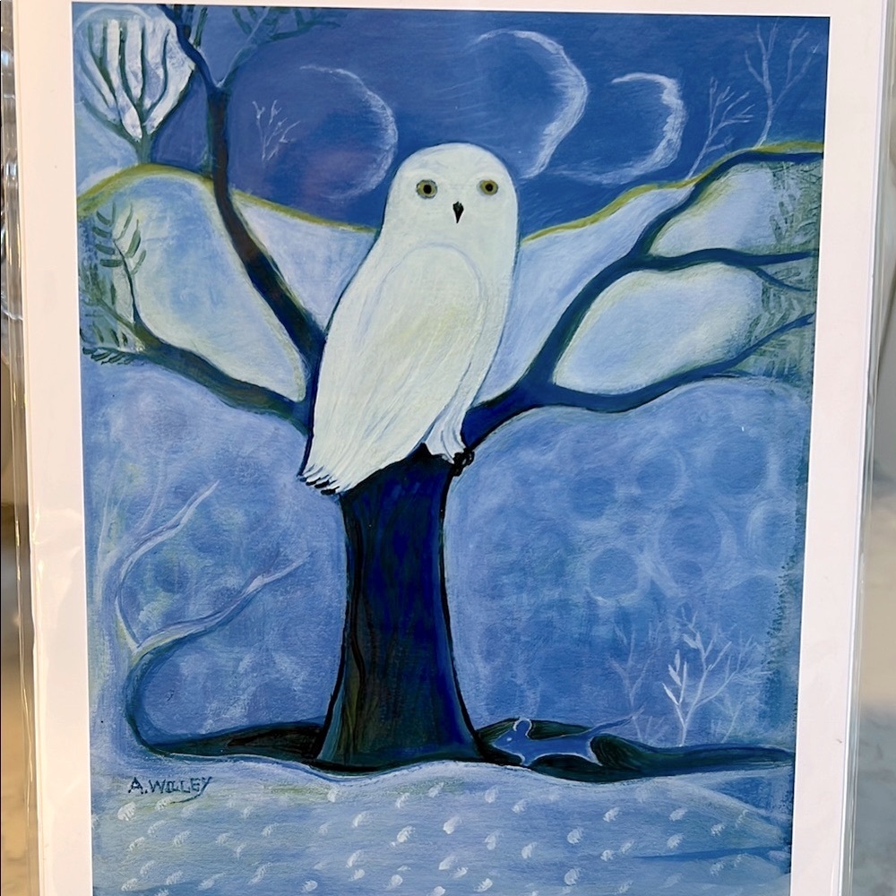Snowy Owl Art Print by Ann Willey